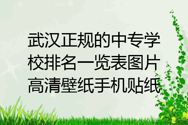 武汉正规的中专学校排名一览表图片高清壁纸手机贴纸