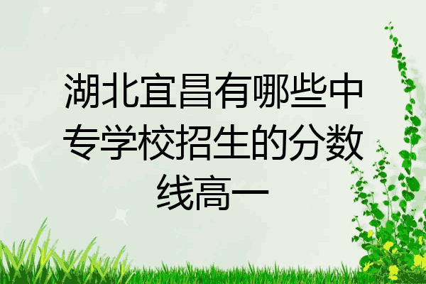 湖北宜昌有哪些中专学校招生的分数线高一
