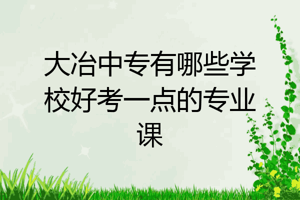 大冶中专有哪些学校好考一点的专业课