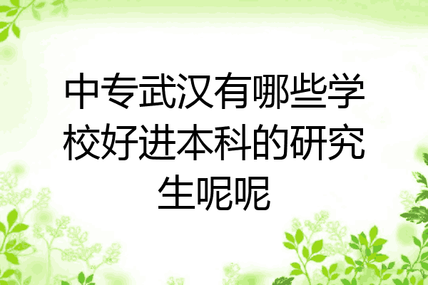 中专武汉有哪些学校好进本科的研究生呢呢