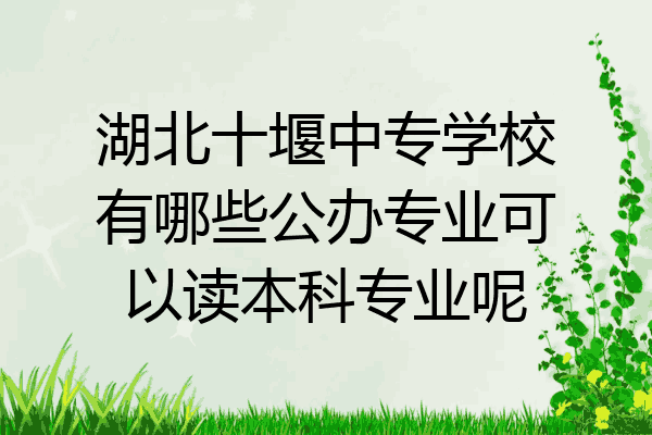 湖北十堰中专学校有哪些公办专业可以读本科专业呢