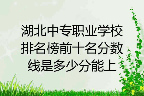 湖北中专职业学校排名榜前十名分数线是多少分能上