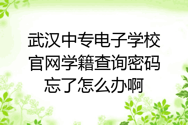 武汉中专电子学校官网学籍查询密码忘了怎么办啊