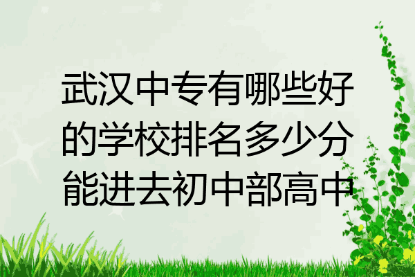 武汉中专有哪些好的学校排名多少分能进去初中部高中