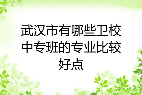 武汉市有哪些卫校中专班的专业比较好点