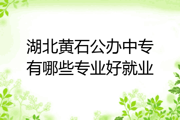 湖北黄石公办中专有哪些专业好就业
