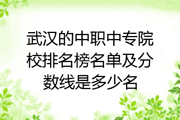 武汉的中职中专院校排名榜名单及分数线是多少名