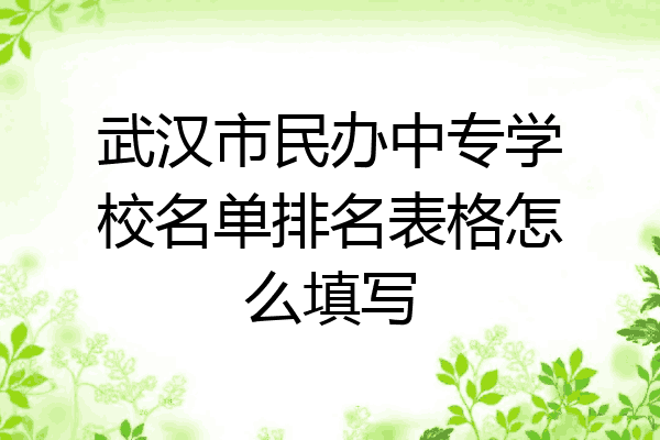 武汉市民办中专学校名单排名表格怎么填写