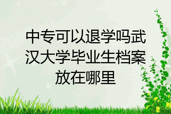 中专可以退学吗武汉大学毕业生档案放在哪里