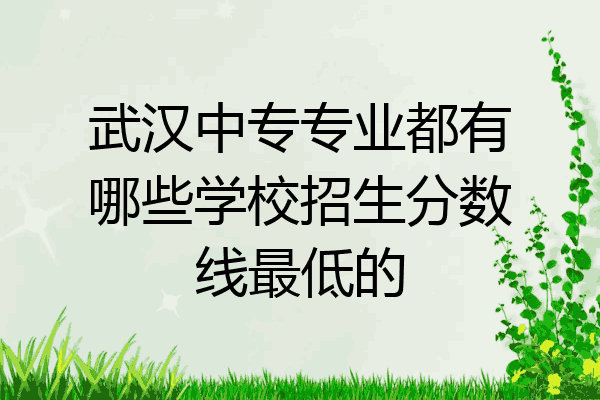 武汉中专专业都有哪些学校招生分数线最低的