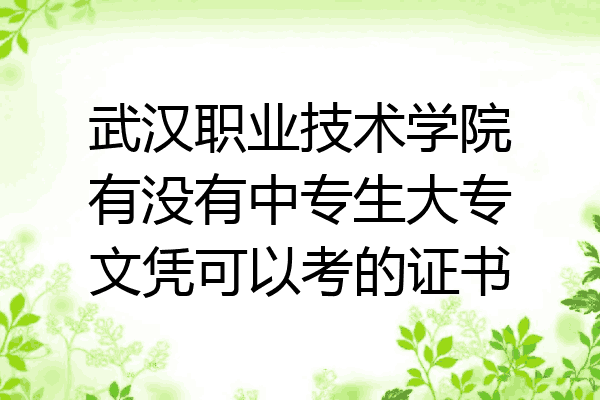 武汉职业技术学院有没有中专生大专文凭可以考的证书