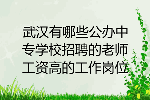 武汉有哪些公办中专学校招聘的老师工资高的工作岗位