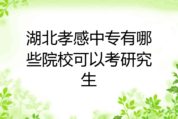 湖北孝感中专有哪些院校可以考研究生