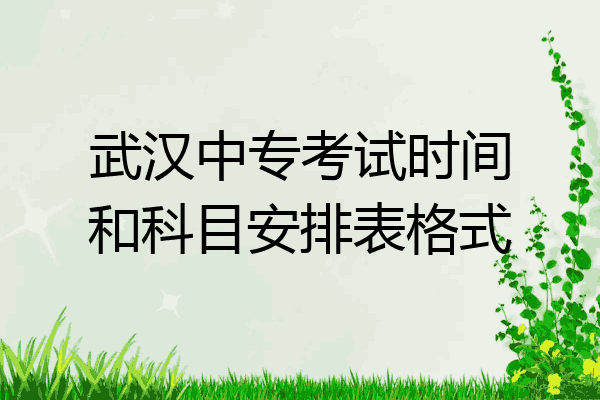 武汉中专考试时间和科目安排表格式