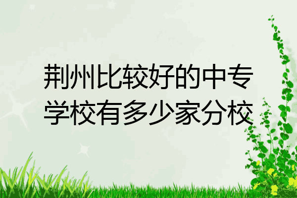 荆州比较好的中专学校有多少家分校