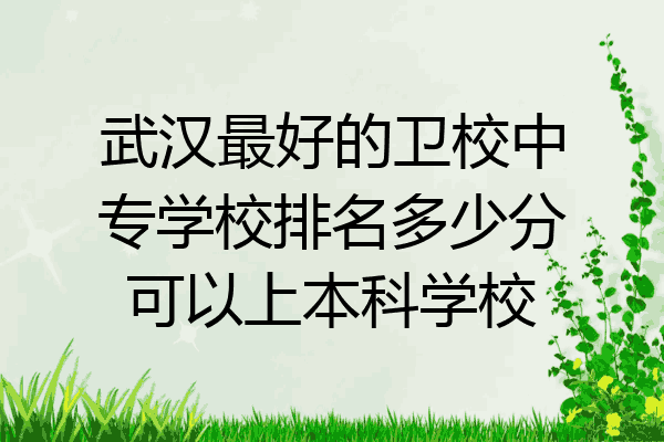 武汉最好的卫校中专学校排名多少分可以上本科学校