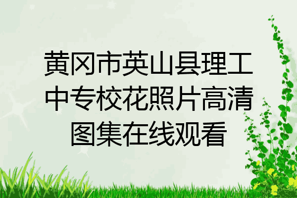黄冈市英山县理工中专校花照片高清图集在线观看