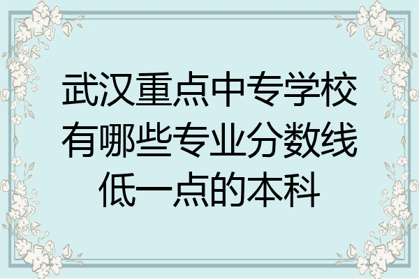 武汉重点中专学校有哪些专业分数线低一点的本科