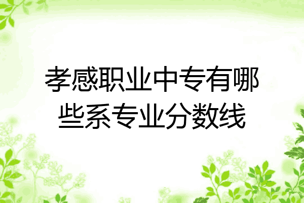 孝感职业中专有哪些系专业分数线