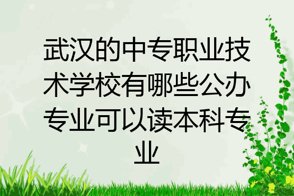 武汉的中专职业技术学校有哪些公办专业可以读本科专业