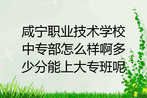咸宁职业技术学校中专部怎么样啊多少分能上大专班呢