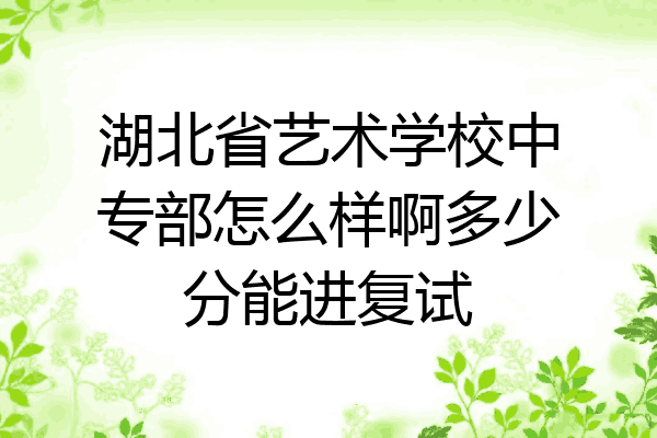 湖北省艺术学校中专部怎么样啊多少分能进复试