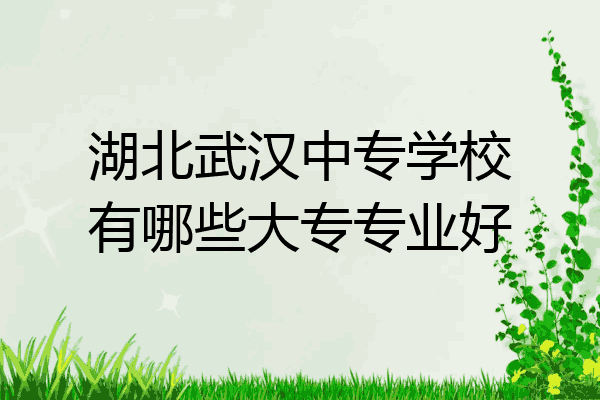 湖北武汉中专学校有哪些大专专业好