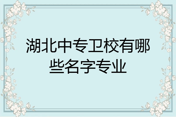 湖北中专卫校有哪些名字专业