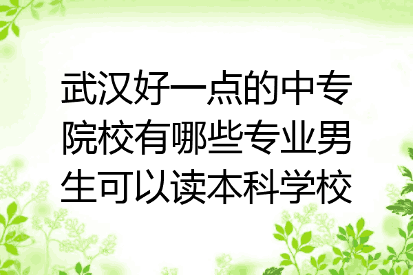 武汉好一点的中专院校有哪些专业男生可以读本科学校