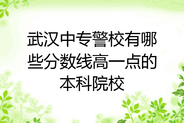 武汉中专警校有哪些分数线高一点的本科院校