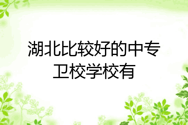 湖北比较好的中专卫校学校有