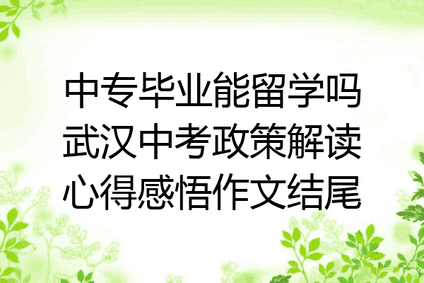 中专毕业能留学吗武汉中考政策解读心得感悟作文结尾