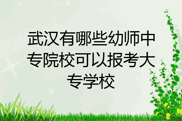 武汉有哪些幼师中专院校可以报考大专学校