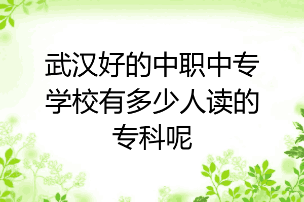 武汉好的中职中专学校有多少人读的专科呢