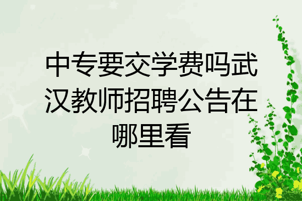 中专要交学费吗武汉教师招聘公告在哪里看