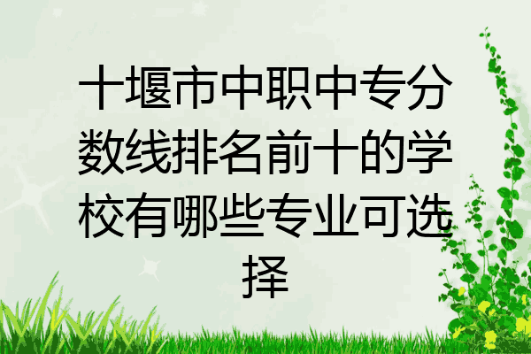 十堰市中职中专分数线排名前十的学校有哪些专业可选择