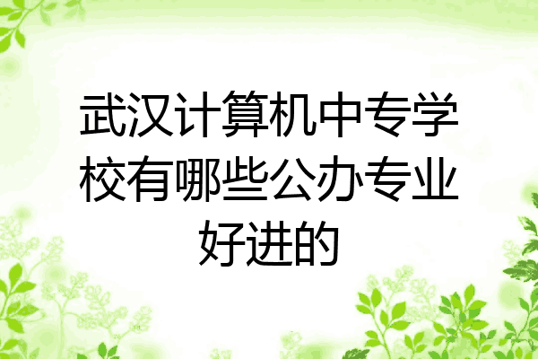 武汉计算机中专学校有哪些公办专业好进的