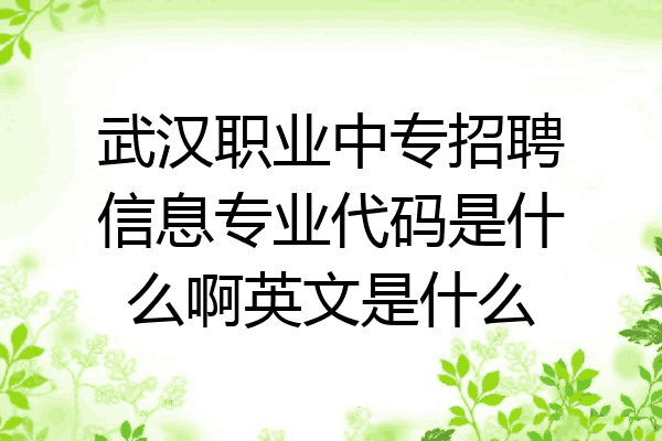 武汉职业中专招聘信息专业代码是什么啊英文是什么