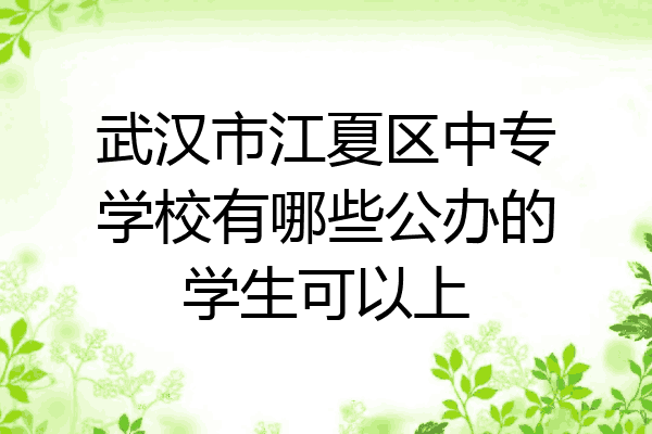 武汉市江夏区中专学校有哪些公办的学生可以上