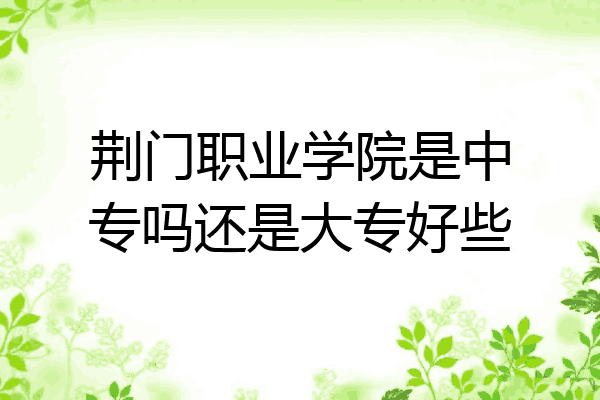 荆门职业学院是中专吗还是大专好些