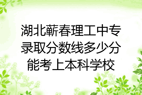 湖北蕲春理工中专录取分数线多少分能考上本科学校
