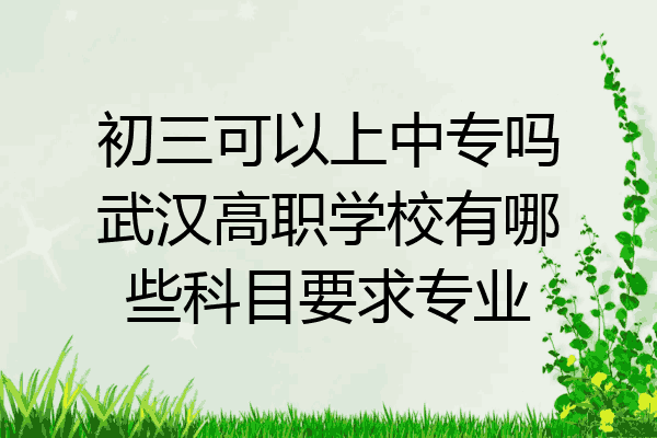 初三可以上中专吗武汉高职学校有哪些科目要求专业