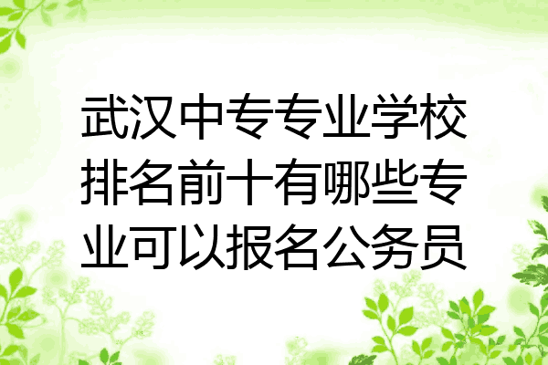 武汉中专专业学校排名前十有哪些专业可以报名公务员
