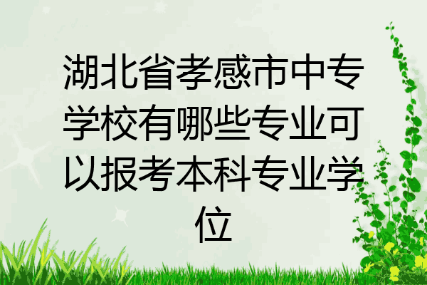 湖北省孝感市中专学校有哪些专业可以报考本科专业学位