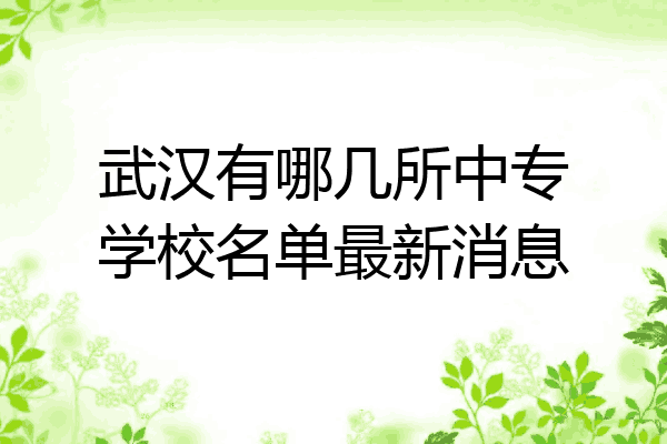 武汉有哪几所中专学校名单最新消息