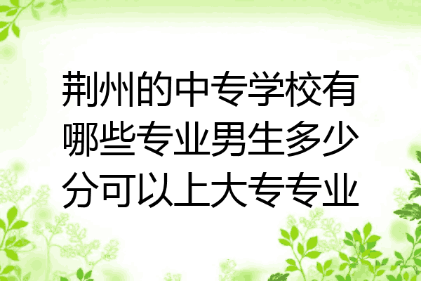 荆州的中专学校有哪些专业男生多少分可以上大专专业