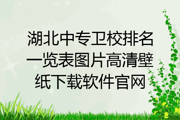 湖北中专卫校排名一览表图片高清壁纸下载软件官网