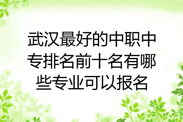 武汉最好的中职中专排名前十名有哪些专业可以报名