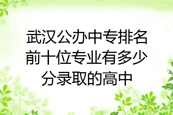 武汉公办中专排名前十位专业有多少分录取的高中
