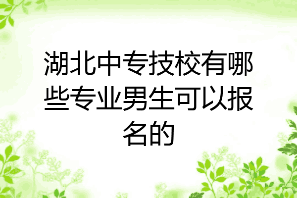 湖北中专技校有哪些专业男生可以报名的